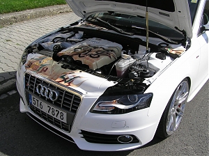 Audi A4 / motorove kryty / airbrush / zlaceni / gold leaf / pinstriping / 