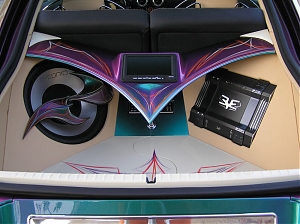 Audi TT / hifi / aparatura/ lakovani / pinstriping / flip flop / chameleon